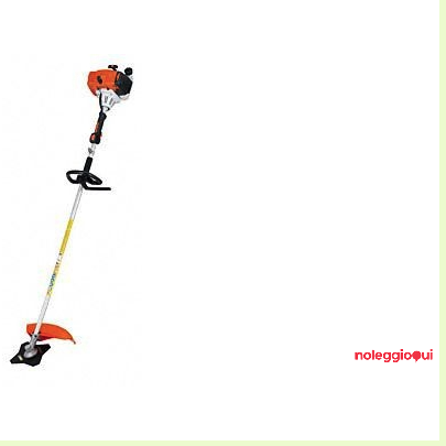 Decespugliatore STIHL FS250