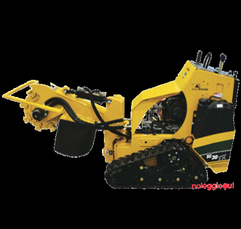 Fresaceppi cingolata