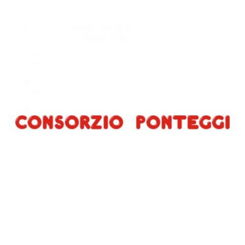 CONSORZIO PONTEGGI