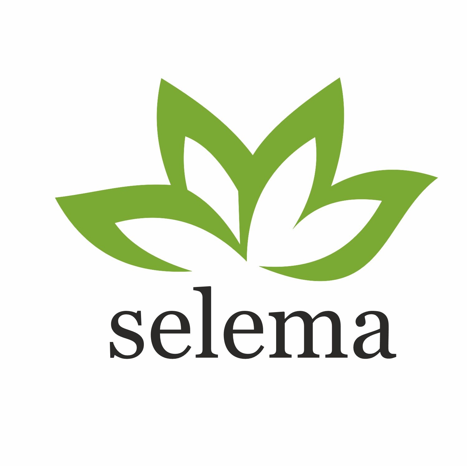 Selema srl