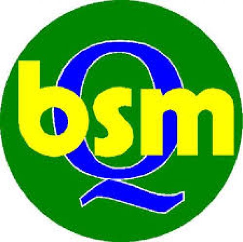 BSM BRESCIA MACCHINE SRL